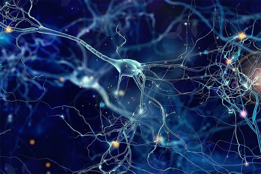 نورون ها، نوروسایتس، نوروسایکولوژی، روانکاوی